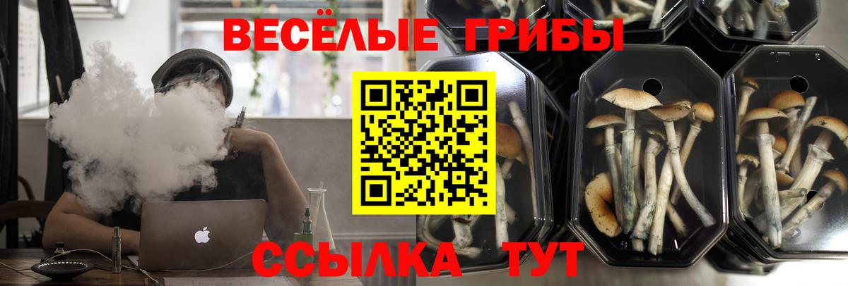 Псилоцибиновые грибы Psilocybine cubensis  Вход с VPN  Оренбург  Галлюциногенные грибы Psilocybe 